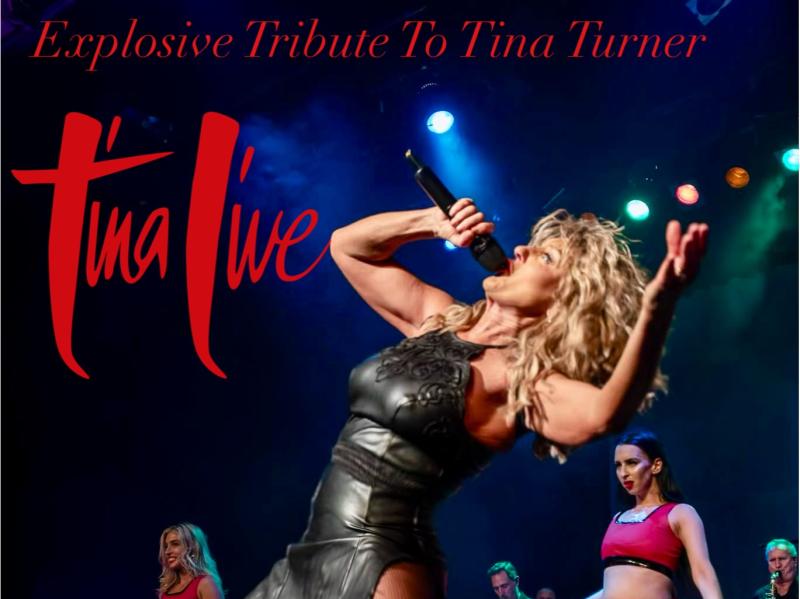 Tina live - The Tina Turner Experience